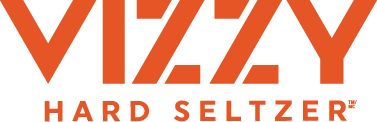 Vizzy Logo